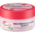 Nachbehandlungssorbet mit Kirschblüten-Extrakt Balea