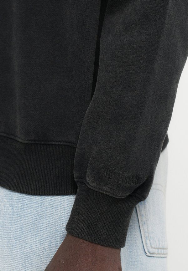 Hollister Co. WEBEX BOXY CREWS