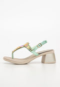 Scholl PALEA