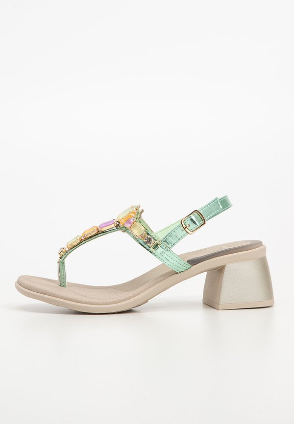 Scholl PALEA