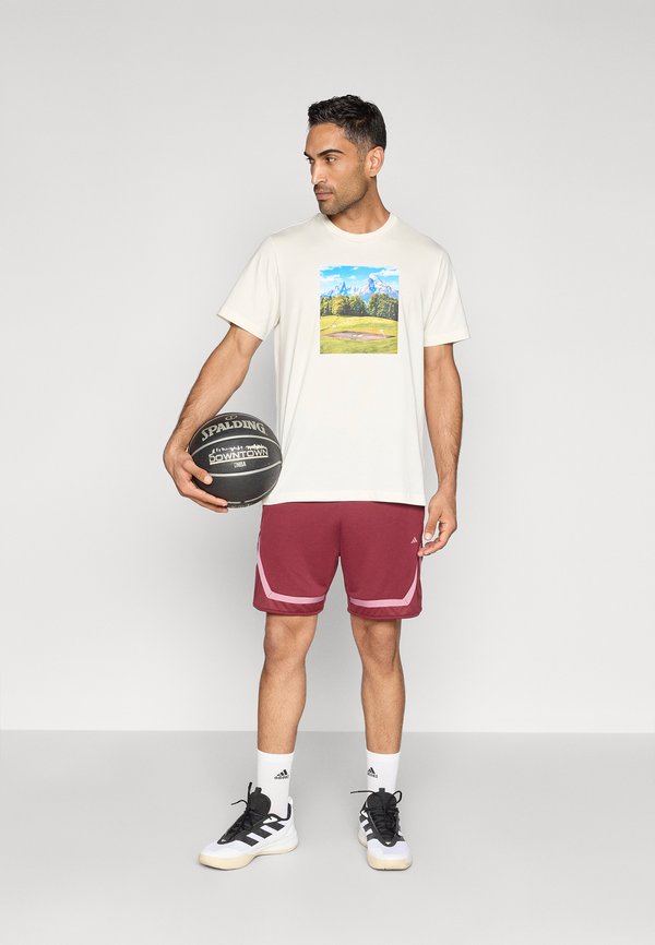 adidas Performance ESCAPE ALPINE