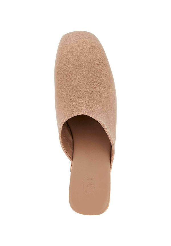 Scholl HAILEY