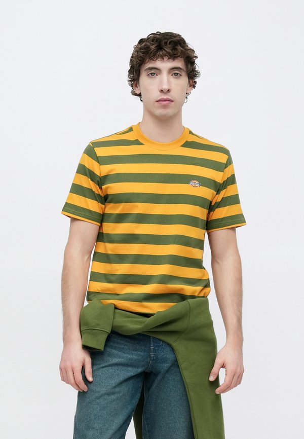 Dickies RIVERGROVE TEE
