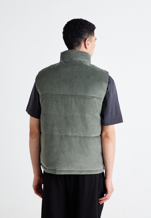 Hollister Co. PUFFER VEST
