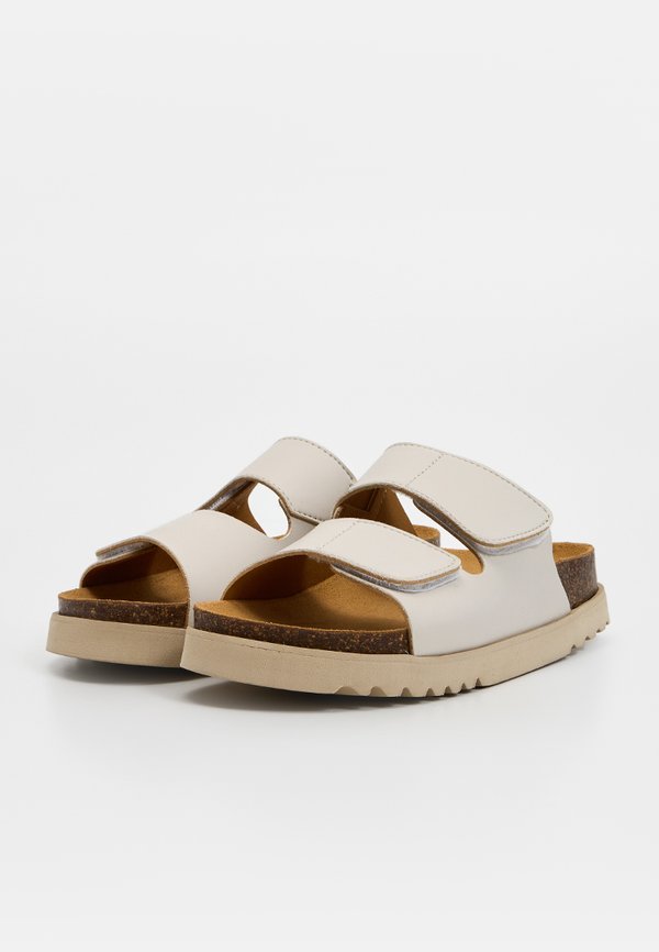 Scholl SIERR