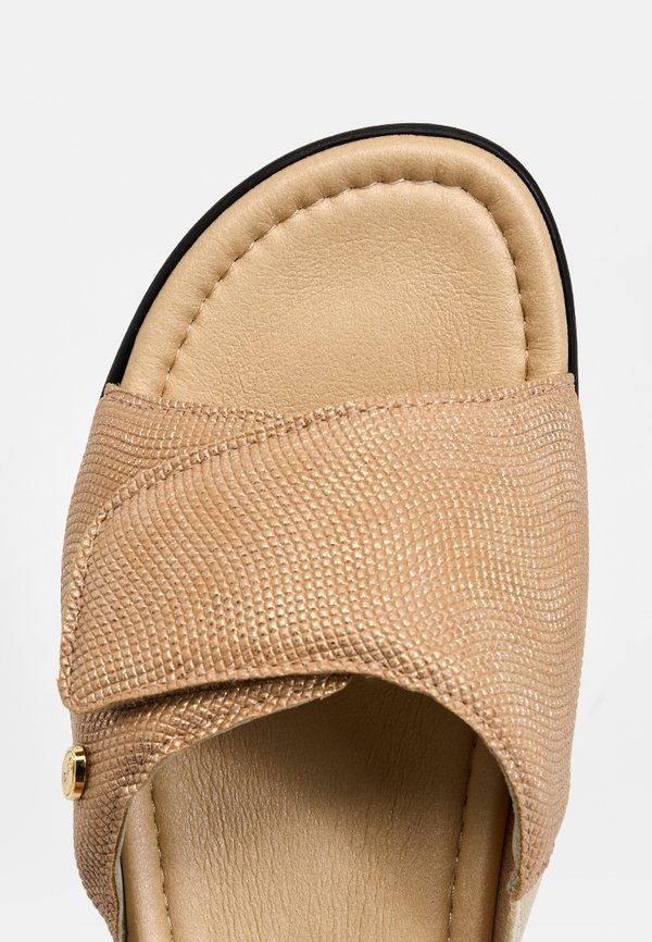 Scholl LEDEL