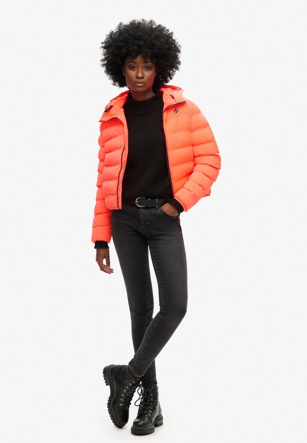 Superdry & Co ALL SEASONS