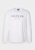 Tommy Hilfiger BIG TEE - Long sleeved top - white