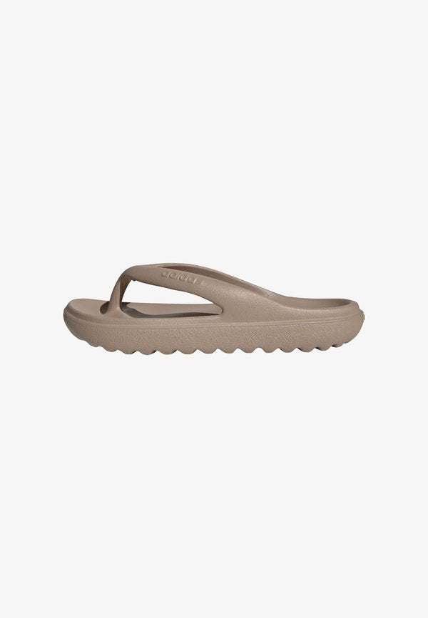 adidas Sportswear T-bar sandals - trace khaki   trace khaki   trace khaki