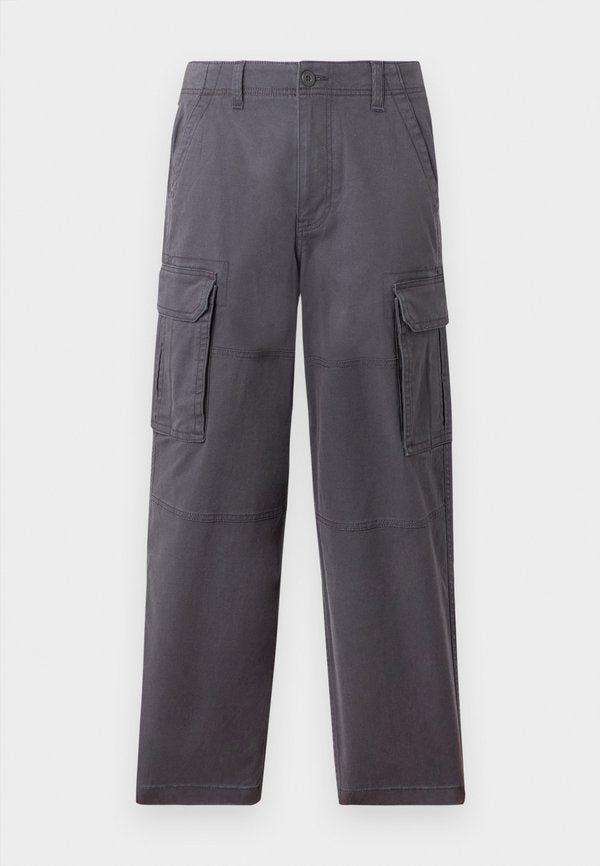 Hollister Co. SKATER BAGGY