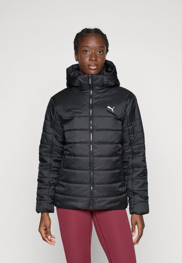 Puma ESS HOODED PADDED JACKET - Winter jacket - black