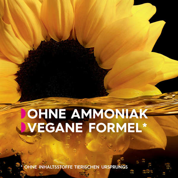 Haare Aufheller B+++ Ultra GARNIER olia