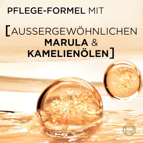 Shampoo Öl Magique Nährpflege L'ORÉAL PARiS ELVITAL