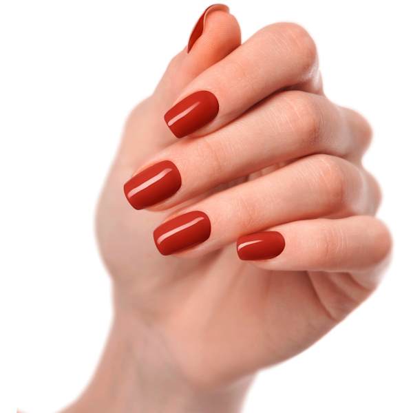 UV Gel Nagelfolien Ox Blood Maniko
