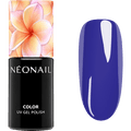 UV Nagellack Bold Horizon NÉONAIL