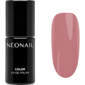 UV Nagellack Frozen Roses NÉONAIL