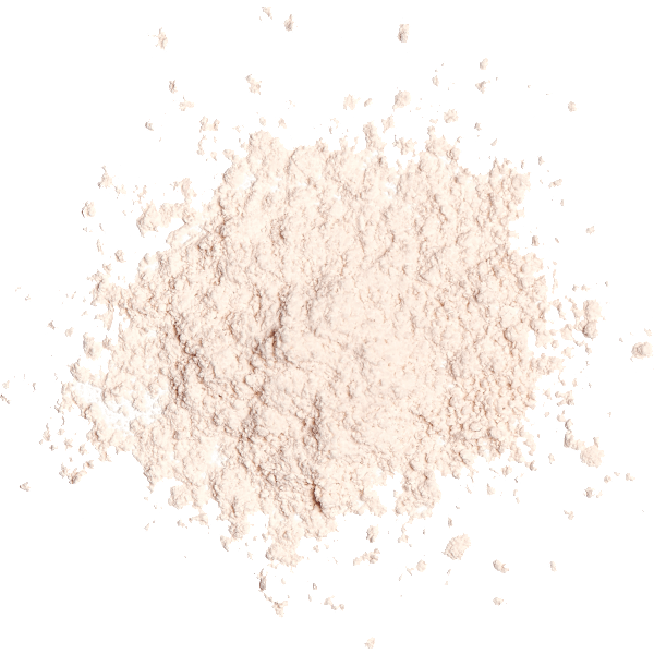 Loses Puder Baking Translucent REVOLUTION