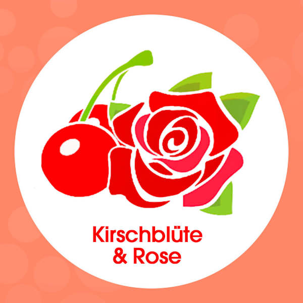 Schaumhandseife Kirschblüte & Rose Sagrotan